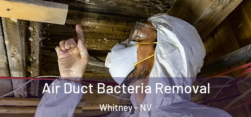  Air Duct Bacteria Removal Whitney - NV