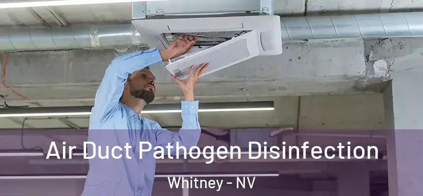 Air Duct Pathogen Disinfection Whitney - NV