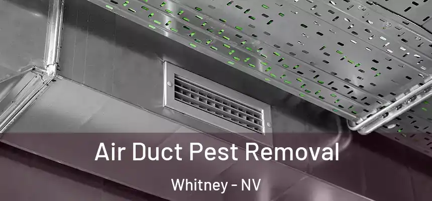  Air Duct Pest Removal Whitney - NV