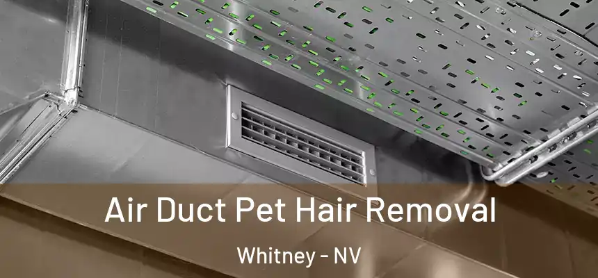  Air Duct Pet Hair Removal Whitney - NV