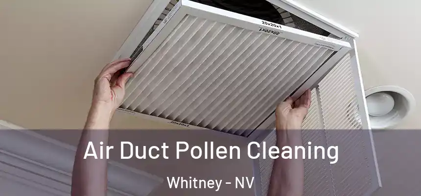 Air Duct Pollen Cleaning Whitney - NV