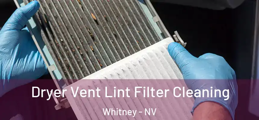  Dryer Vent Lint Filter Cleaning Whitney - NV