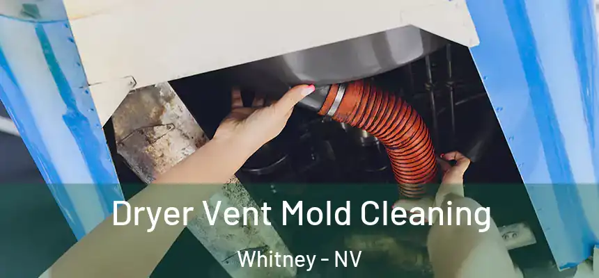  Dryer Vent Mold Cleaning Whitney - NV