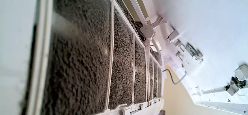 Preventive Air Duct Bacteria Removal in Whitney