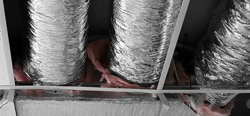 Scalable Commercial Multi‑Unit Dryer Vent Camera Inspection in Whitney, NV