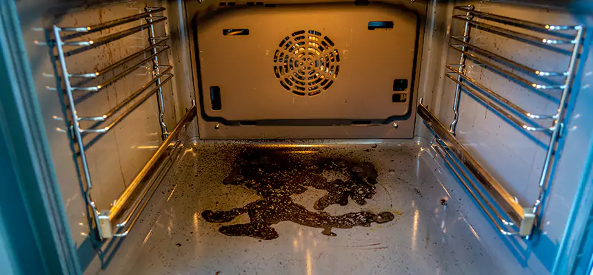 Our Dryer Vent Mold Cleaning Services in Whitney, NV