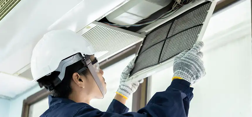 Our Lint Trap Cleaning Service Services in Whitney, NV