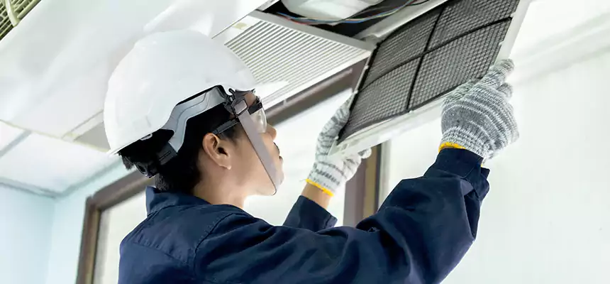 Our Mold & Mildew Removal from Air Ducts Services in Whitney, NV