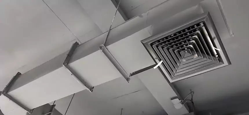 Our Pest Removal From Ducts Services in Whitney, NV