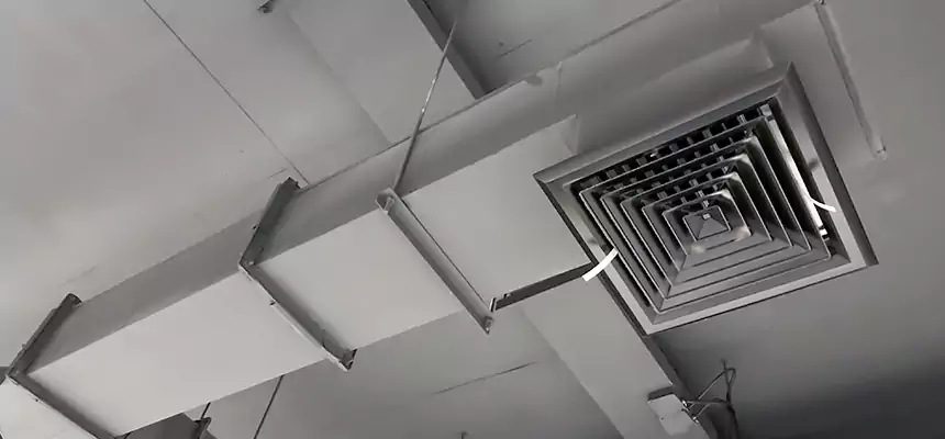 Our Rodent Droppings In Vents Services in Whitney, NV