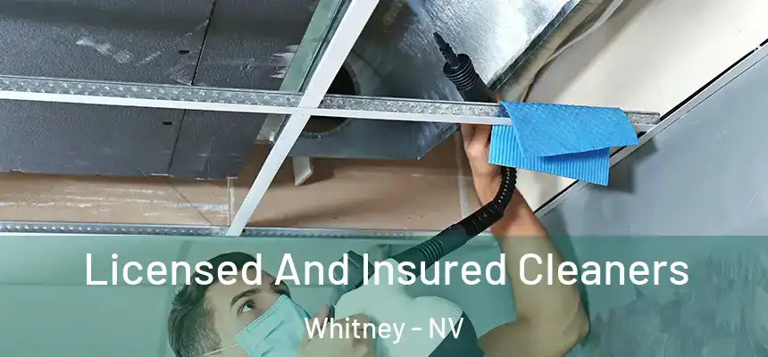 Licensed And Insured Cleaners Whitney - NV
