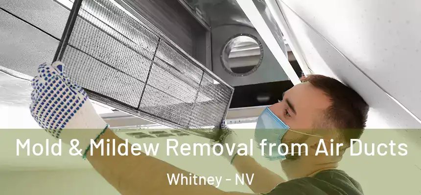  Mold & Mildew Removal from Air Ducts Whitney - NV