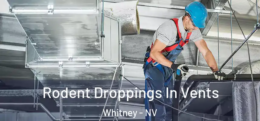  Rodent Droppings In Vents Whitney - NV