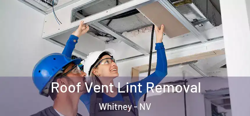  Roof Vent Lint Removal Whitney - NV