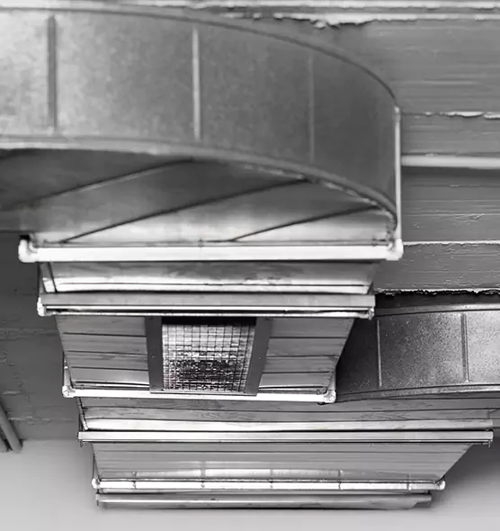 Professional Air Duct Pest Removal in Whitney, NV