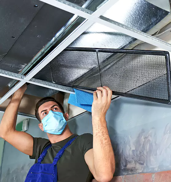 Professional Air Duct Pollen Cleaning in Whitney, NV