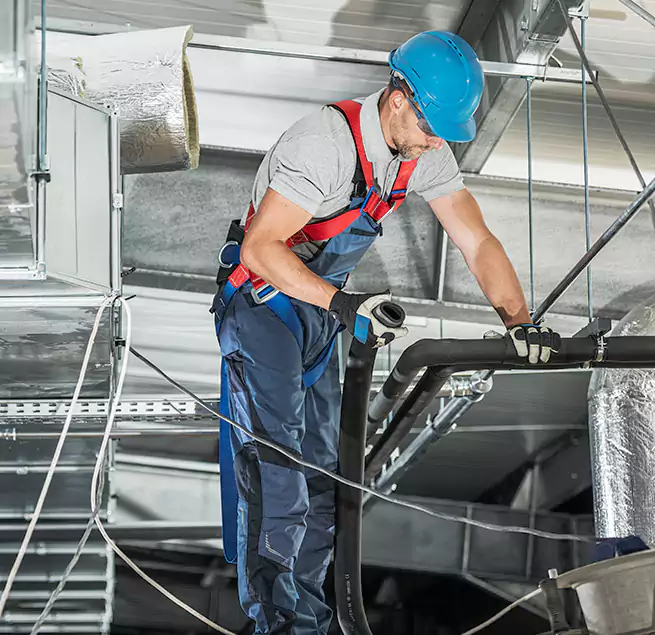 Why Homeowners & Businesses Trust Us in Whitney, NV?