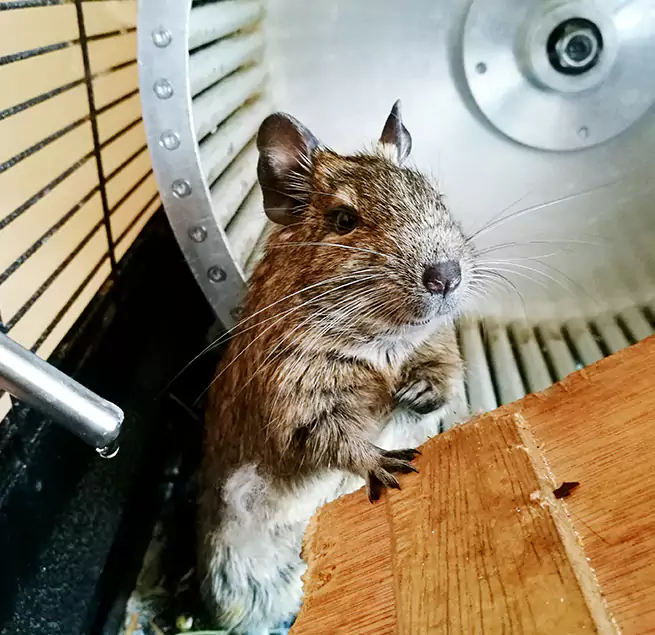 Why Homeowners & Businesses Trust Us Whitney, NV