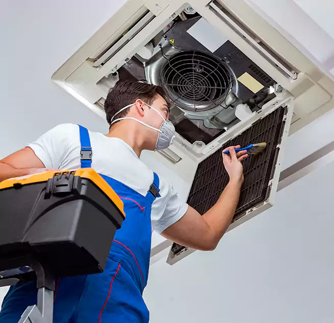 Why Homeowners & Businesses Trust Us in Whitney, NV