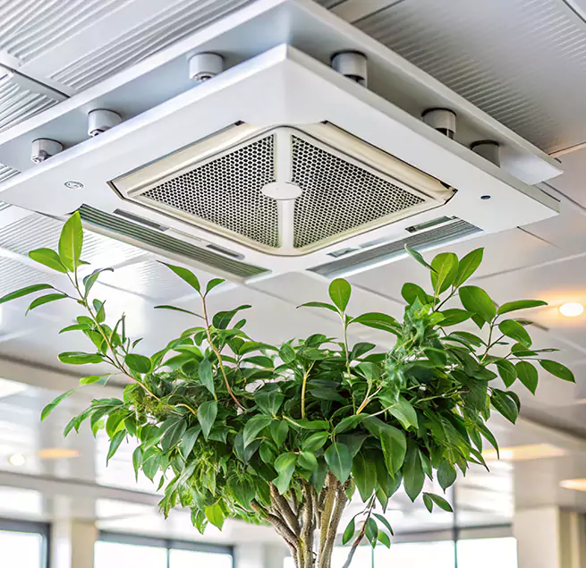 Why Homeowners & Businesses Trust Us in Whitney, NV?