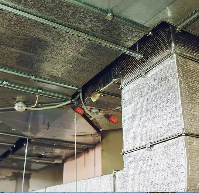 Why Homeowners & Businesses Trust Us Whitney, NV?