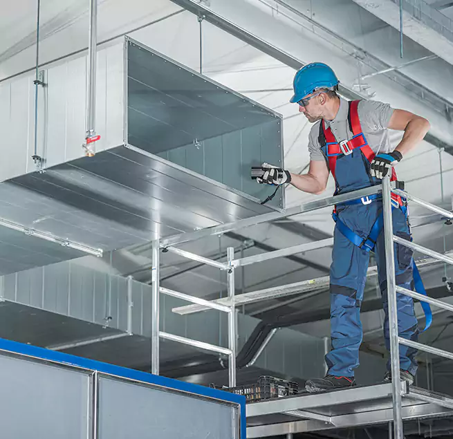 Why Homeowners & Businesses Trust Us in Whitney, NV?